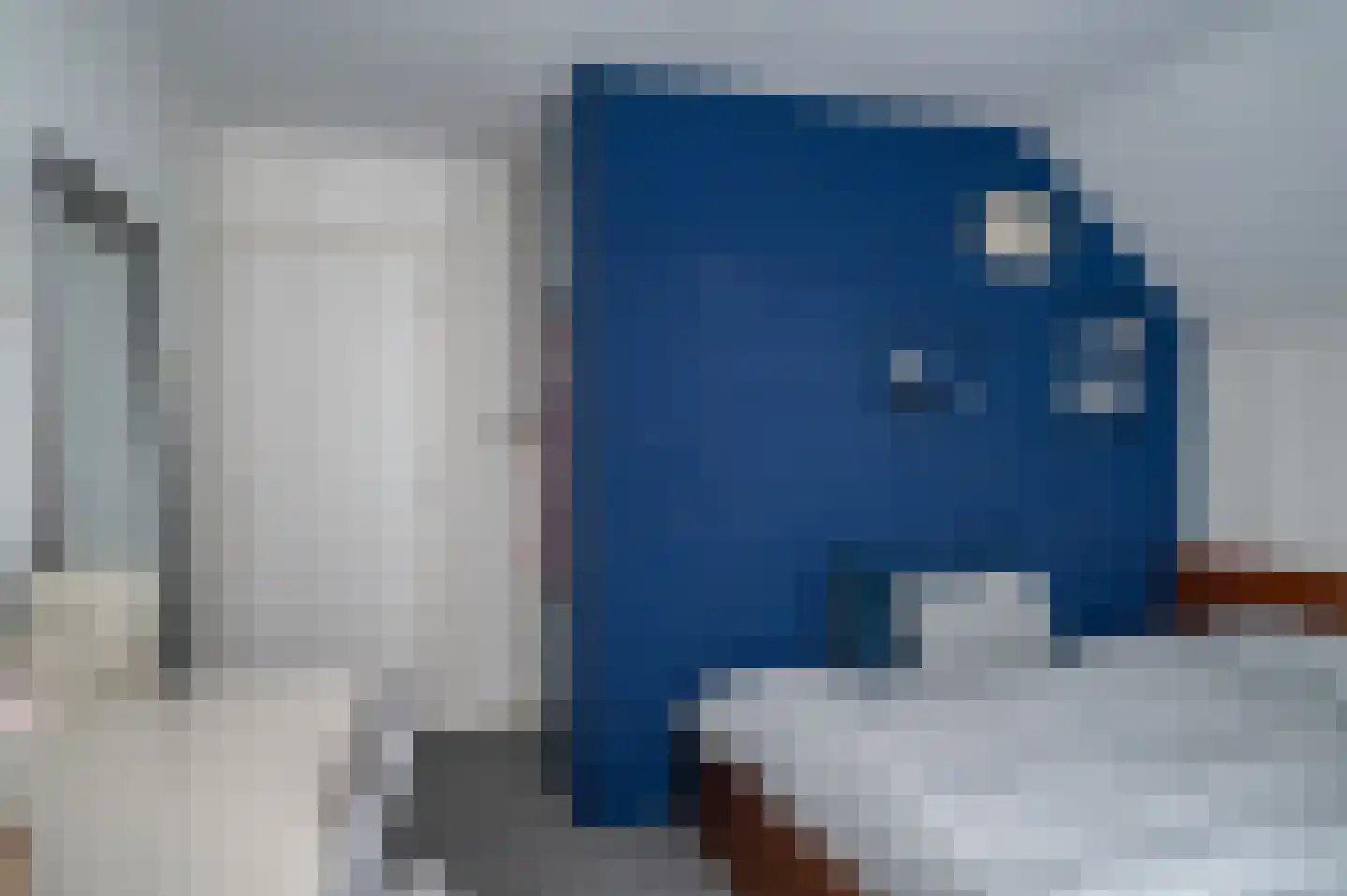 Ebbinge Wubbenlaan 11 Staphorst thumbnail 35