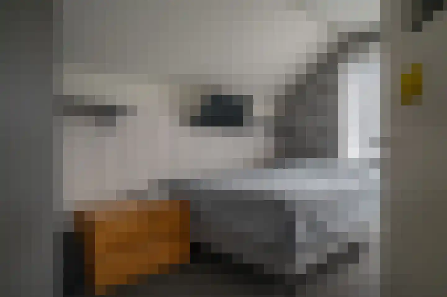Ebbinge Wubbenlaan 11 Staphorst thumbnail 38