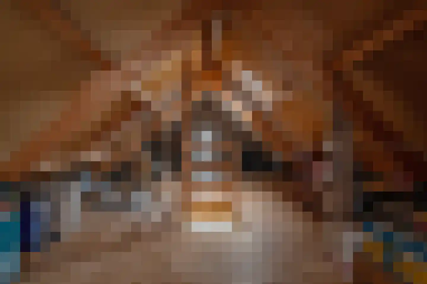 Ebbinge Wubbenlaan 11 Staphorst thumbnail 40