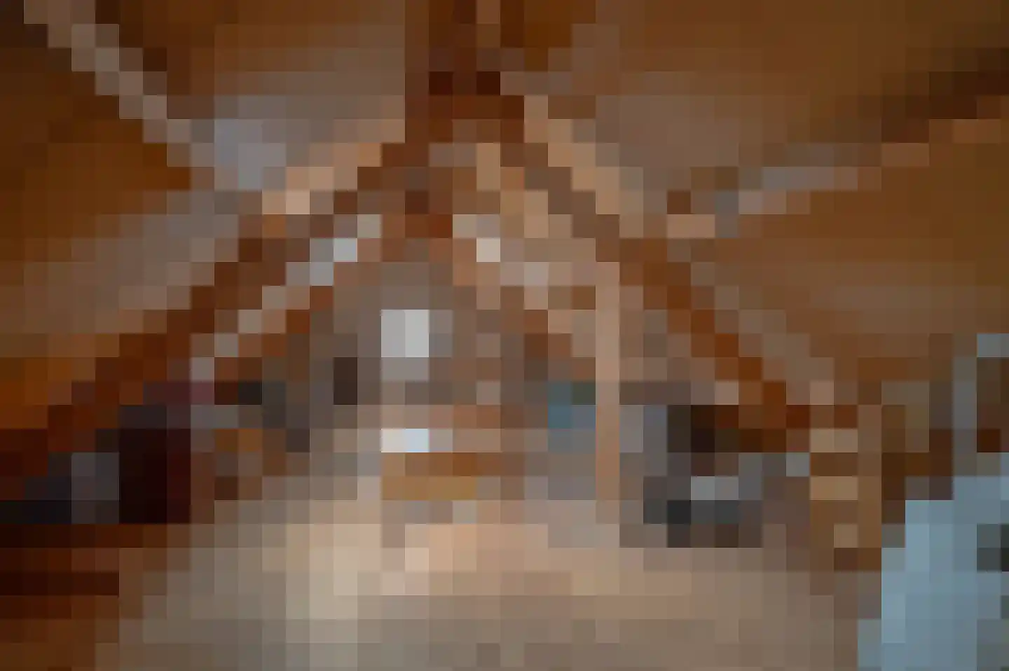 Ebbinge Wubbenlaan 11 Staphorst thumbnail 41