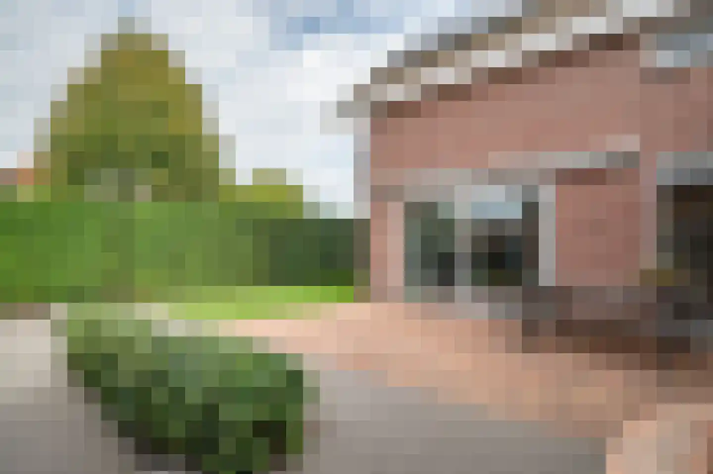 Ebbinge Wubbenlaan 11 Staphorst thumbnail 44