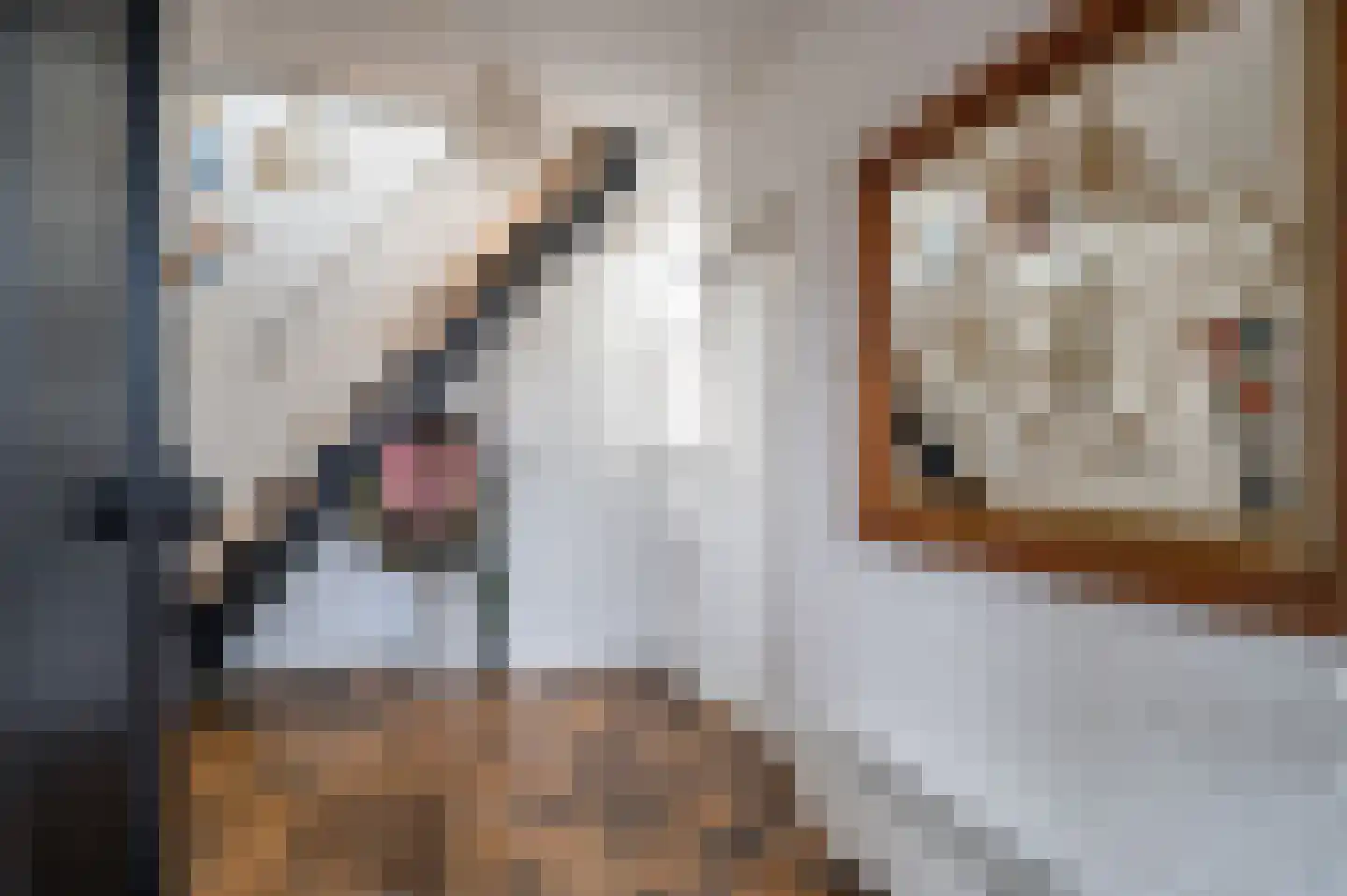 Ebbinge Wubbenlaan 11 Staphorst thumbnail 6