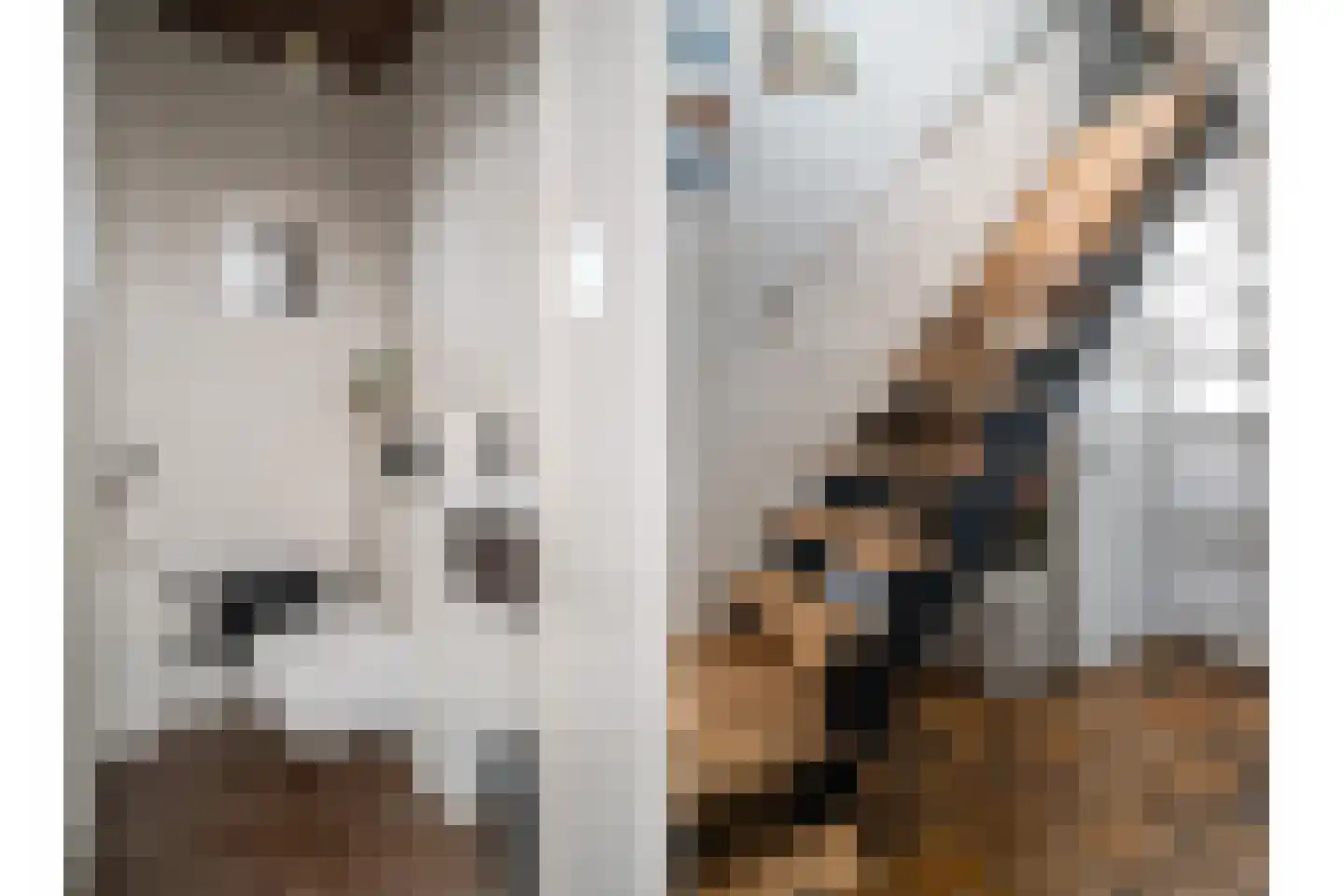 Ebbinge Wubbenlaan 11 Staphorst thumbnail 7