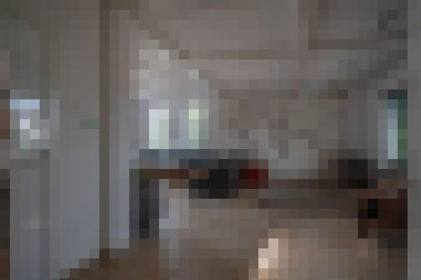 Ebbinge Wubbenlaan 11 Staphorst thumbnail 8