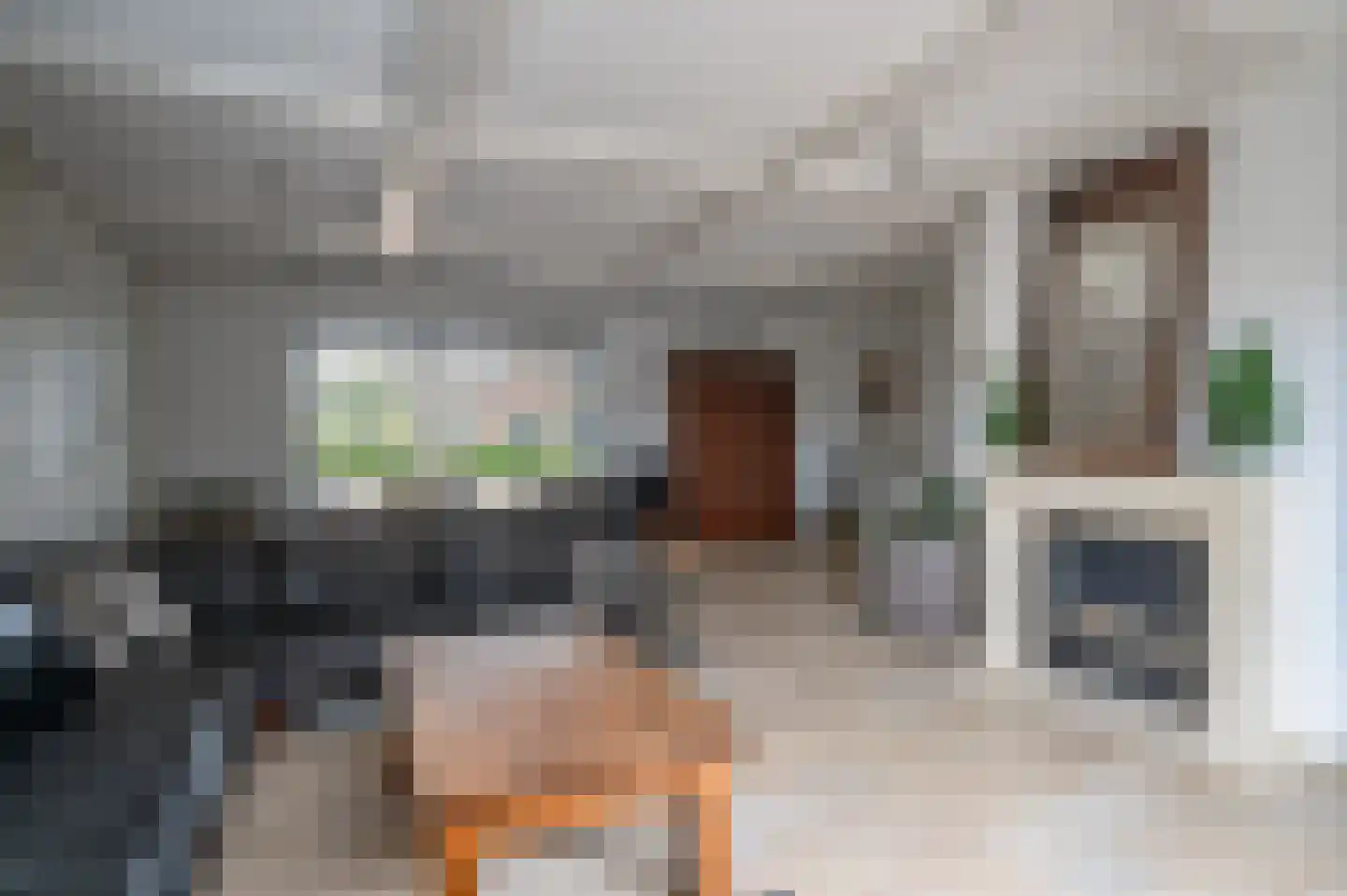 Ebbinge Wubbenlaan 11 Staphorst thumbnail 9
