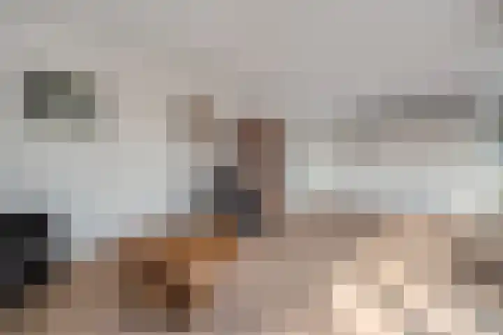 Ebbinge Wubbenlaan 3 a27 Staphorst thumbnail 15