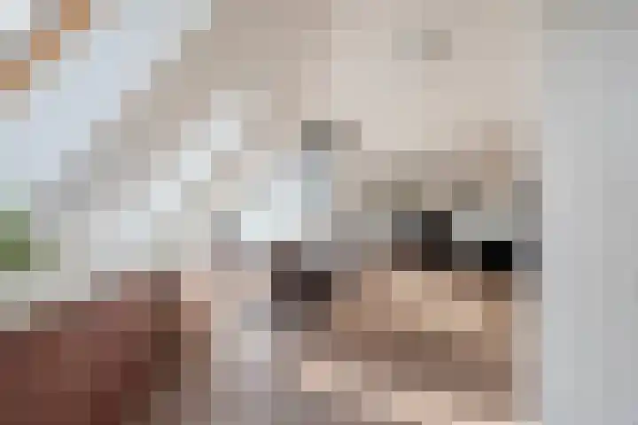 Ebbinge Wubbenlaan 3 a27 Staphorst thumbnail 18