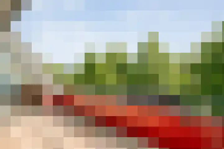Ebbinge Wubbenlaan 3 a27 Staphorst thumbnail 31