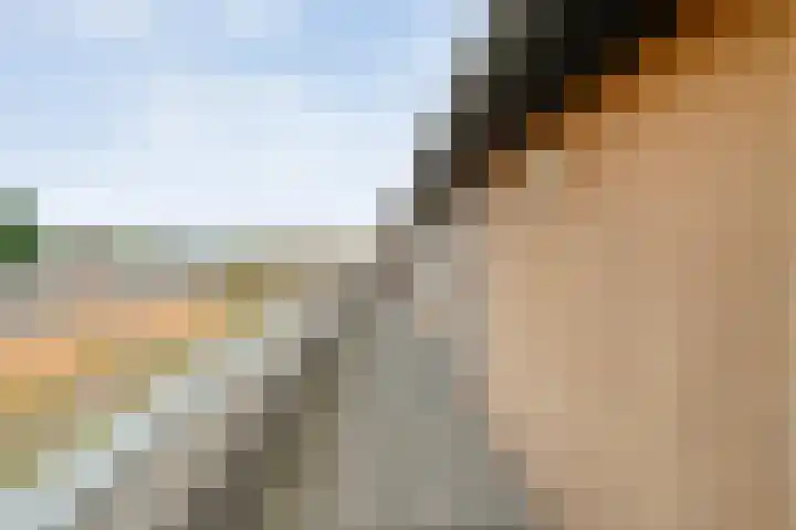 Ebbinge Wubbenlaan 3 a27 Staphorst thumbnail 33