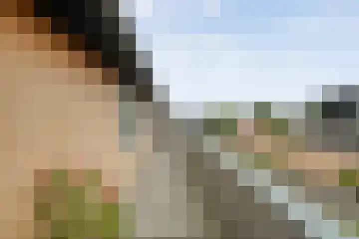 Ebbinge Wubbenlaan 3 a27 Staphorst thumbnail 34