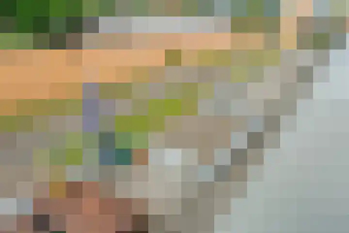 Ebbinge Wubbenlaan 3 a27 Staphorst thumbnail 35