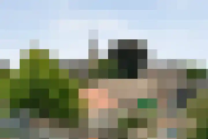 Ebbinge Wubbenlaan 3 a27 Staphorst thumbnail 36