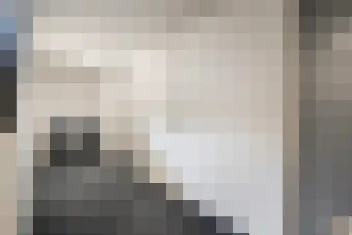 Ebbinge Wubbenlaan 3 a27 Staphorst thumbnail 37