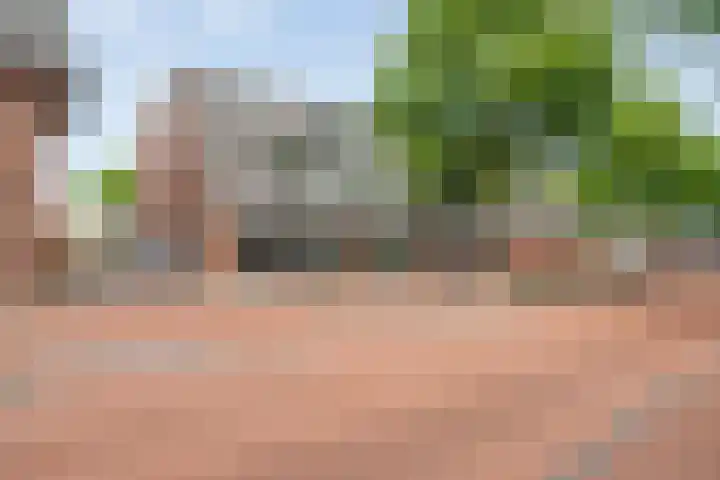 Ebbinge Wubbenlaan 3 a27 Staphorst thumbnail 42