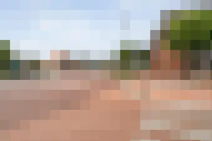 Ebbinge Wubbenlaan 3 a27 Staphorst thumbnail 44