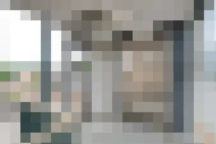Ebbinge Wubbenlaan 3 a27 Staphorst thumbnail 6