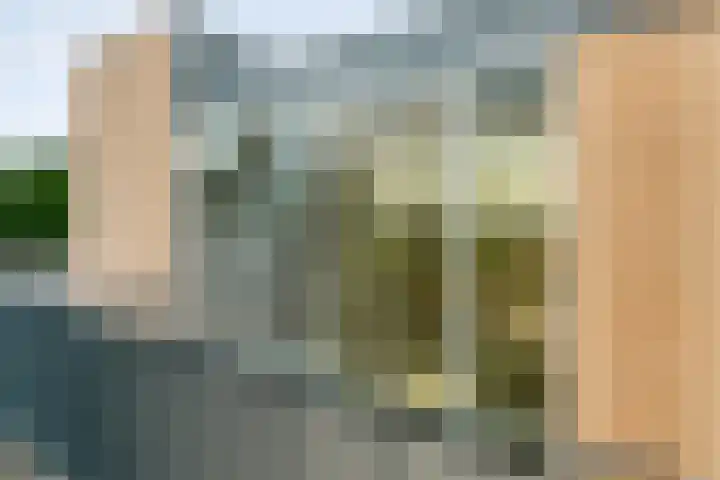 Ebbinge Wubbenlaan 3 a27 Staphorst thumbnail 7