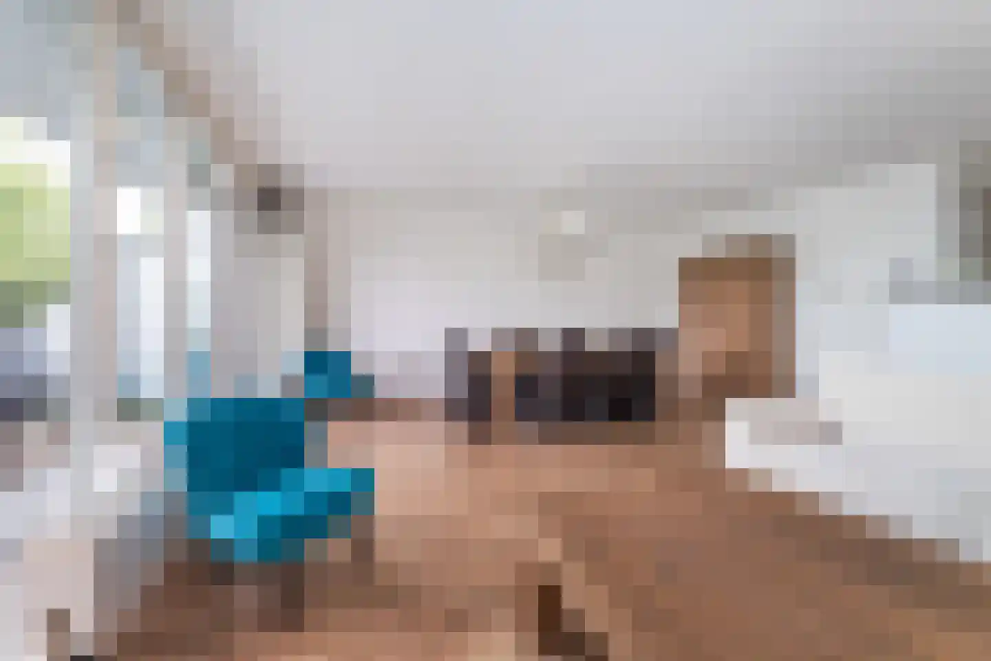 Ebbinge Wubbenlaan 3 a3 Staphorst thumbnail 13
