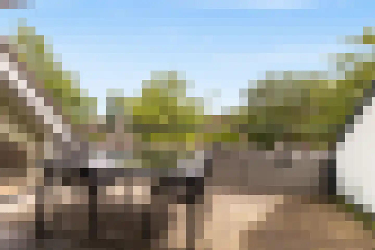 Ebbinge Wubbenlaan 3 a3 Staphorst thumbnail 15