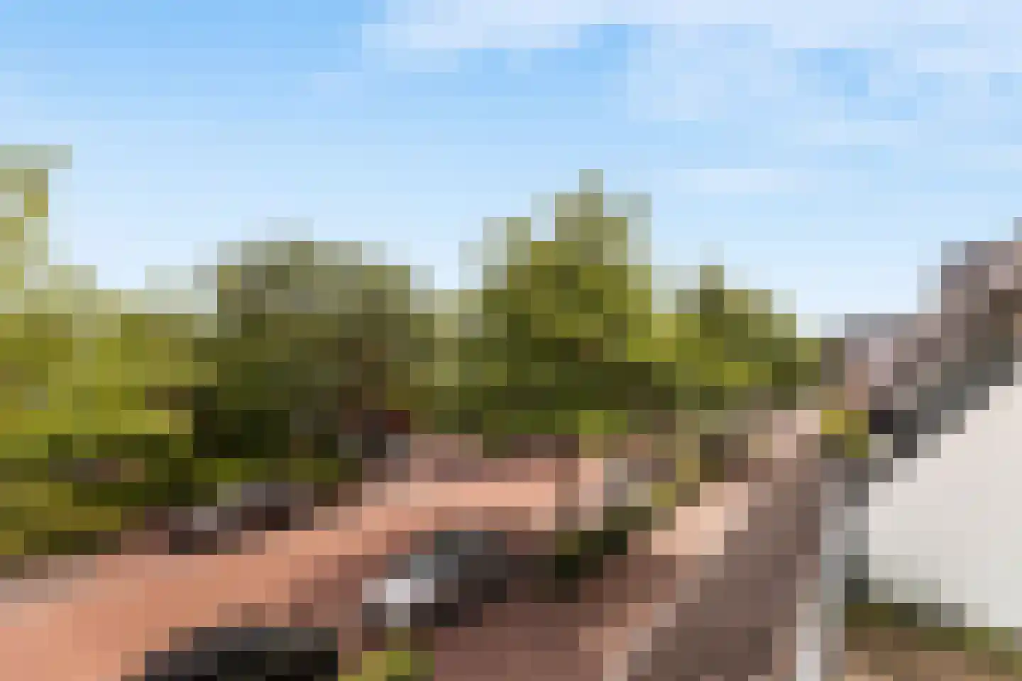 Ebbinge Wubbenlaan 3 a3 Staphorst thumbnail 17
