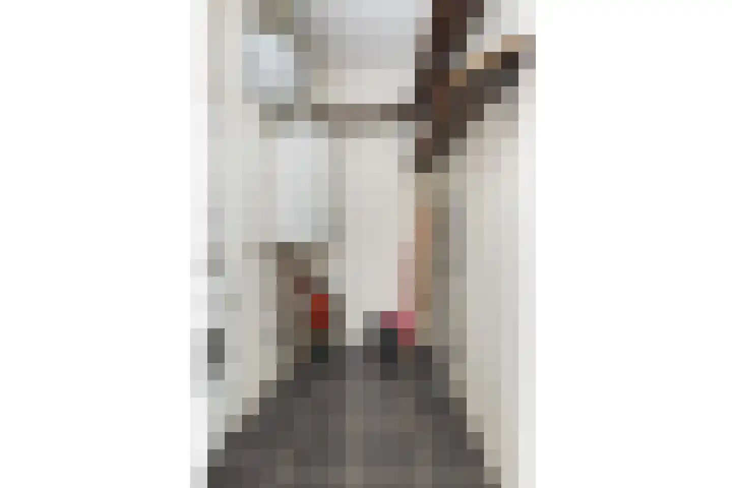 Ebbinge Wubbenlaan 3 a3 Staphorst thumbnail 25