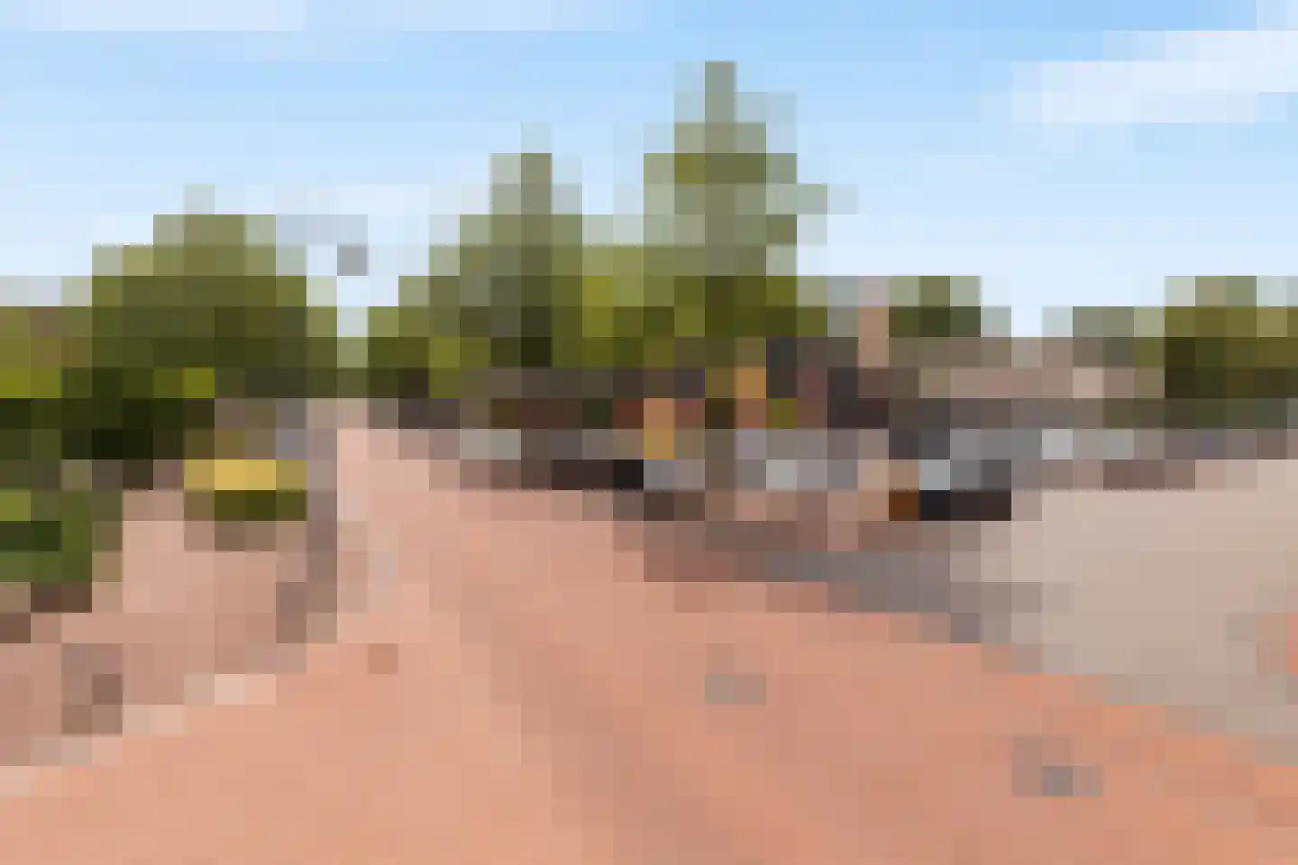 Ebbinge Wubbenlaan 3 a3 Staphorst thumbnail 30