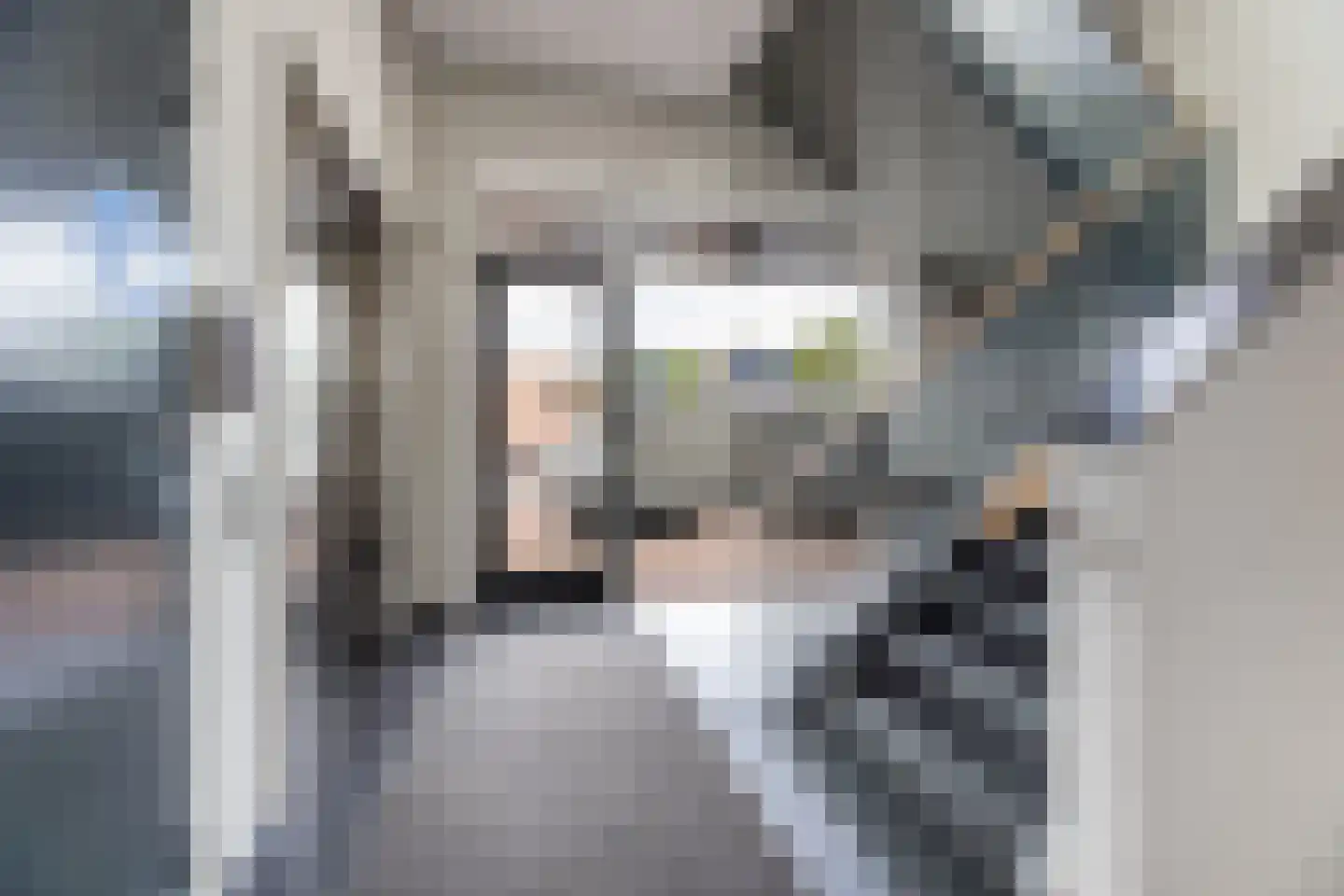 Ebbinge Wubbenlaan 3 a3 Staphorst thumbnail 5