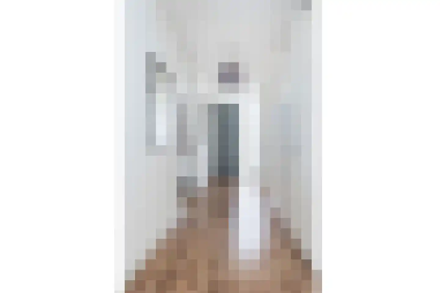 Ebbinge Wubbenlaan 3 a3 Staphorst thumbnail 8