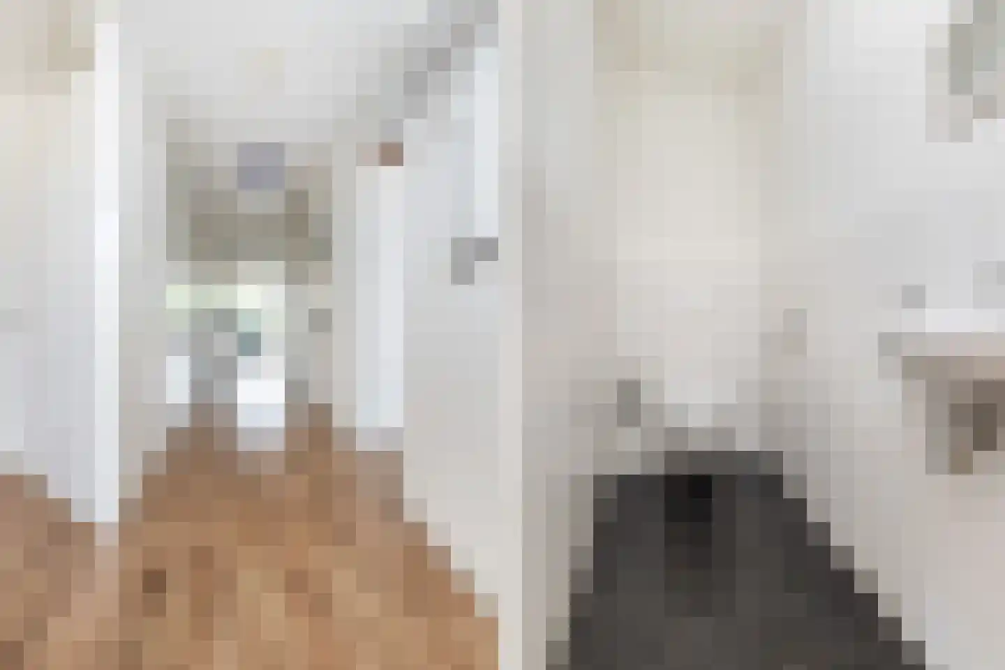 Ebbinge Wubbenlaan 3 a3 Staphorst thumbnail 9