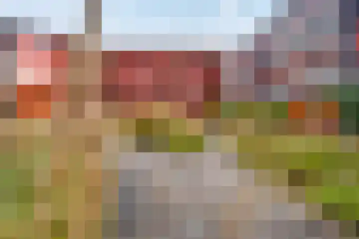 Ebbingedwinger 12 Groningen thumbnail 40