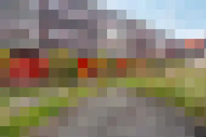 Ebbingedwinger 12 Groningen thumbnail 41