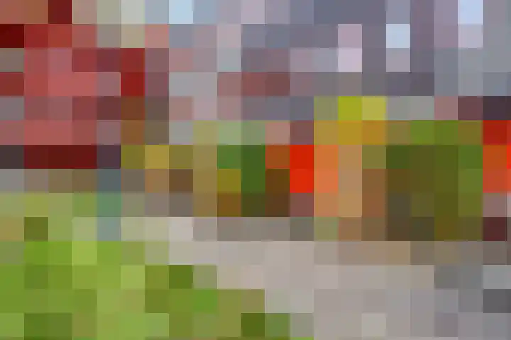 Ebbingedwinger 12 Groningen thumbnail 7