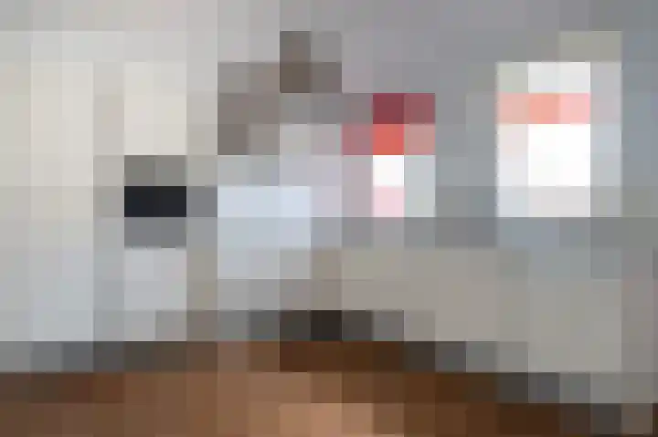 Ebbingedwinger 17 Groningen thumbnail 10
