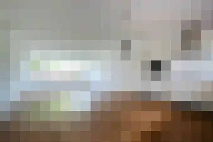Ebbingedwinger 17 Groningen thumbnail 11