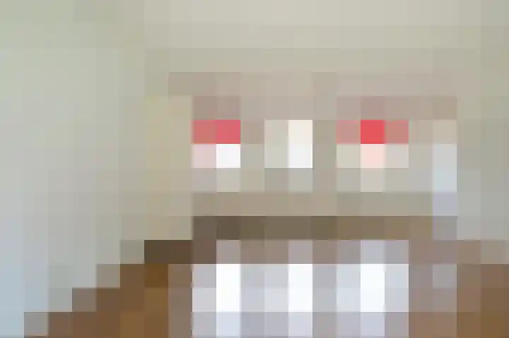 Ebbingedwinger 17 Groningen thumbnail 14