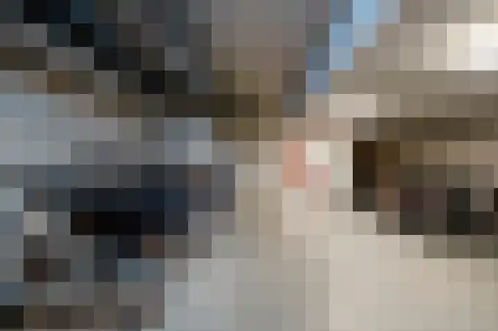 Ebbingedwinger 17 Groningen thumbnail 24