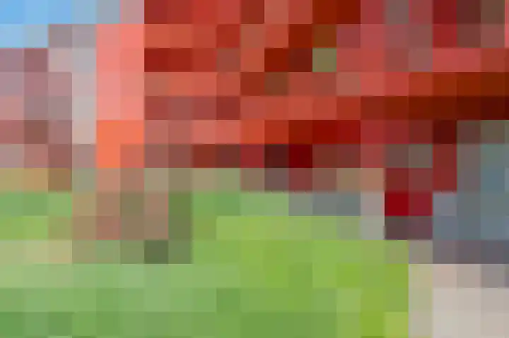 Ebbingedwinger 17 Groningen thumbnail 29