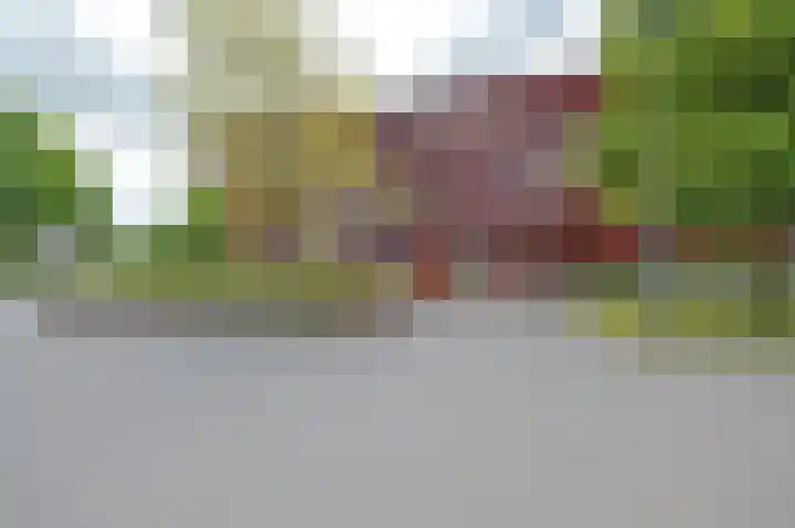 Ebbingedwinger 17 Groningen thumbnail 39
