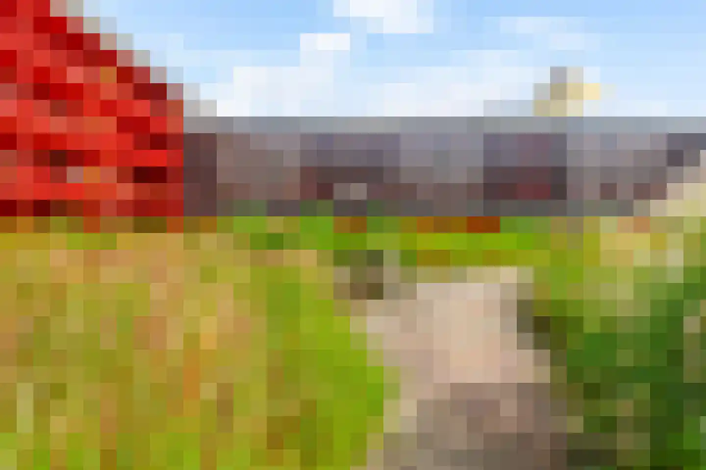 Ebbingedwinger 20 Groningen thumbnail 28