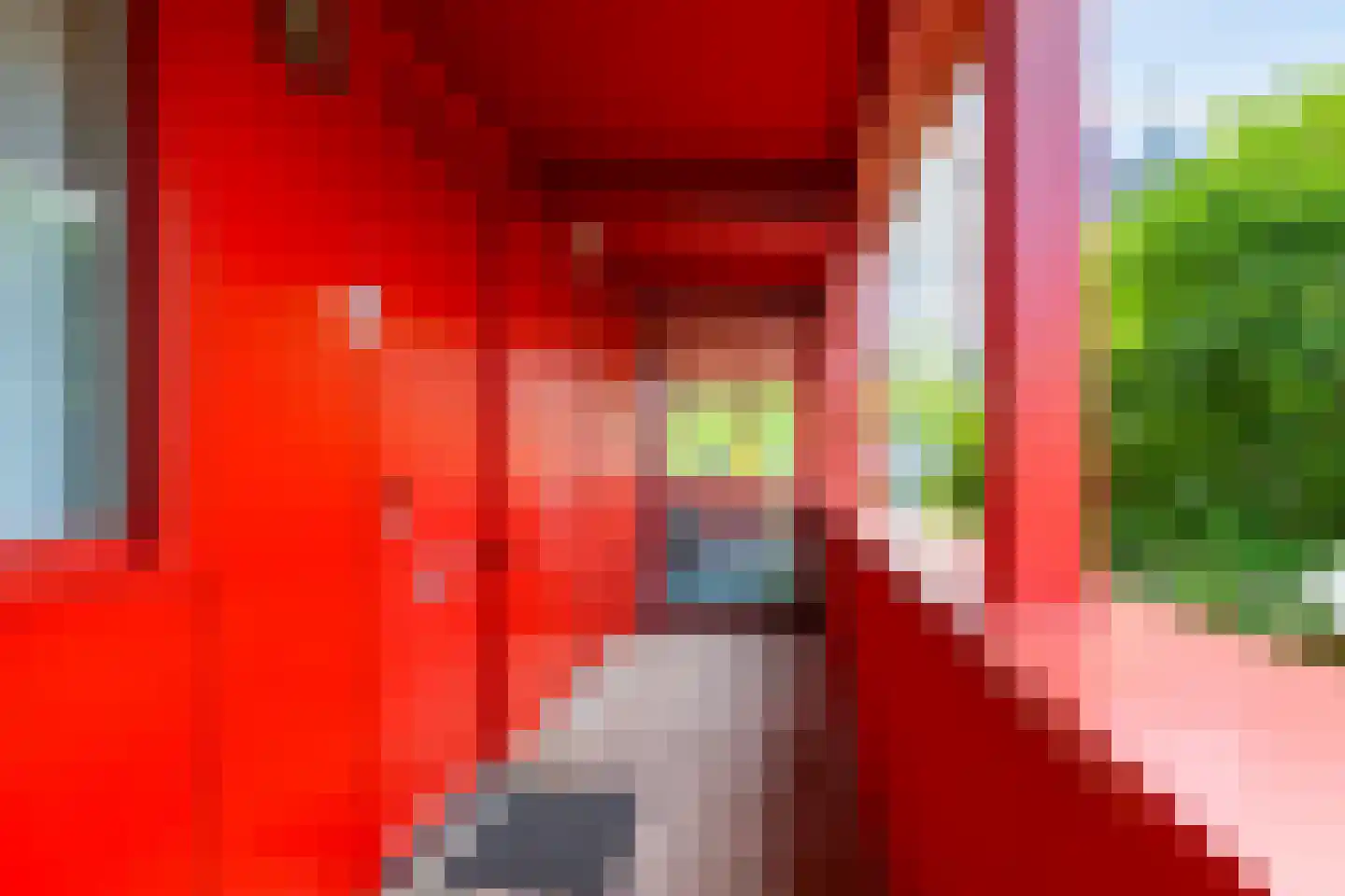 Ebbingedwinger 20 Groningen thumbnail 29