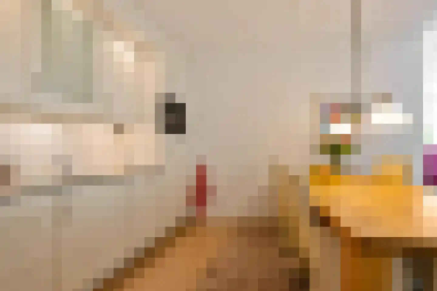 Ebbingedwinger 20 Groningen thumbnail 8