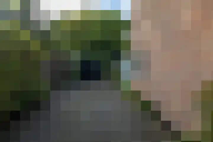 Ebbingekamp 14 Zuidlaren thumbnail 30