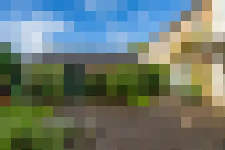 Ebbingekamp 14 Zuidlaren thumbnail 32