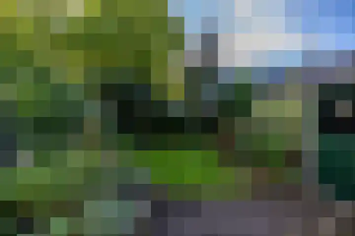 Ebbingekamp 14 Zuidlaren thumbnail 33