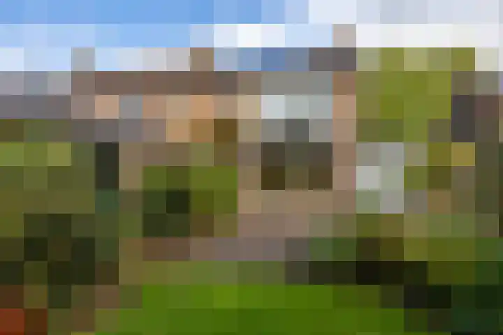 Ebbingekamp 14 Zuidlaren thumbnail 35