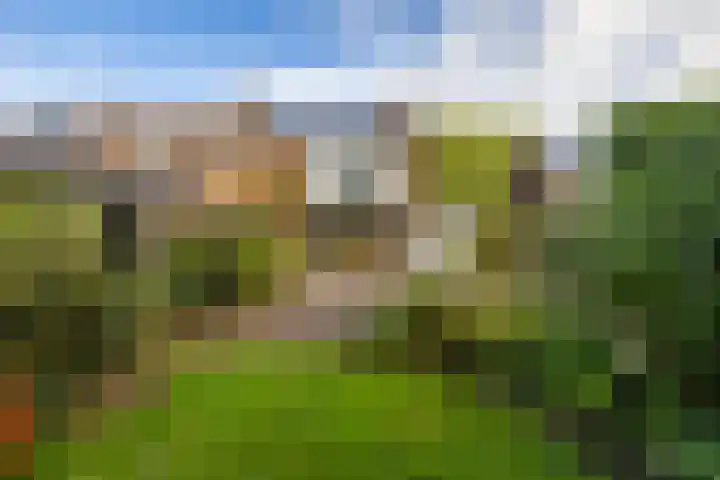 Ebbingekamp 14 Zuidlaren thumbnail 4