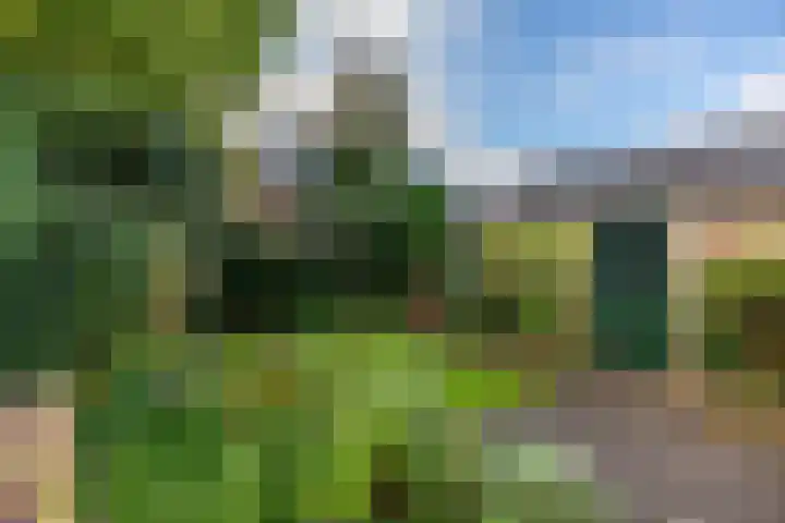 Ebbingekamp 14 Zuidlaren thumbnail 5