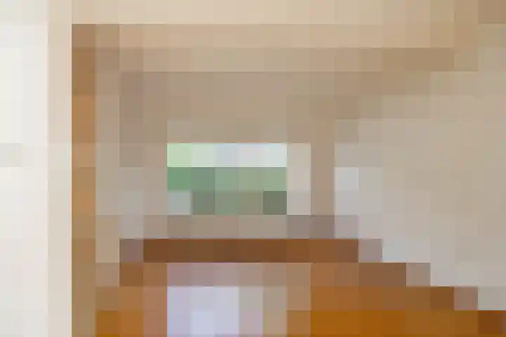Ebbingekamp 14 Zuidlaren thumbnail 9