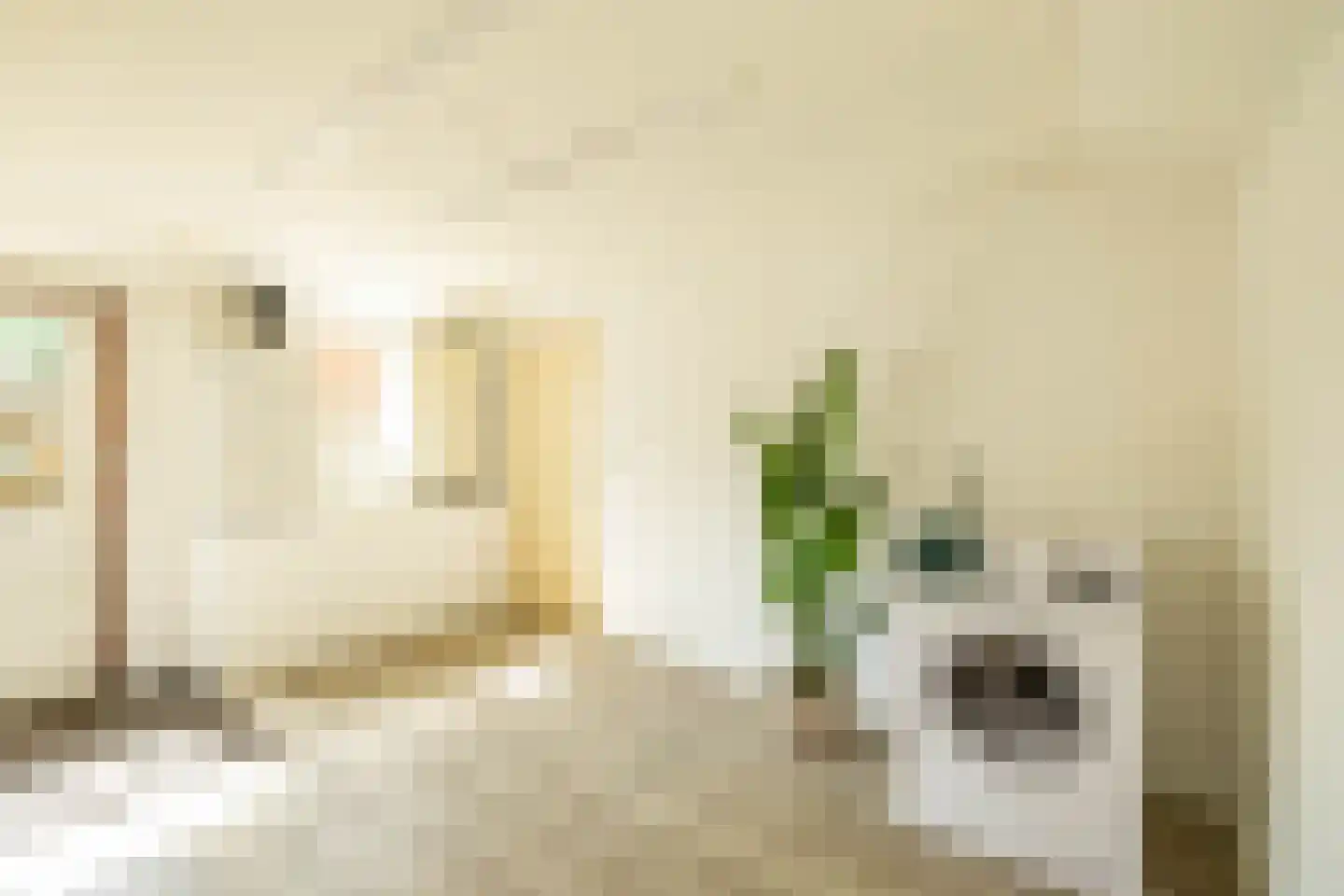 Ebbingekamp 4 Zuidlaren thumbnail 31
