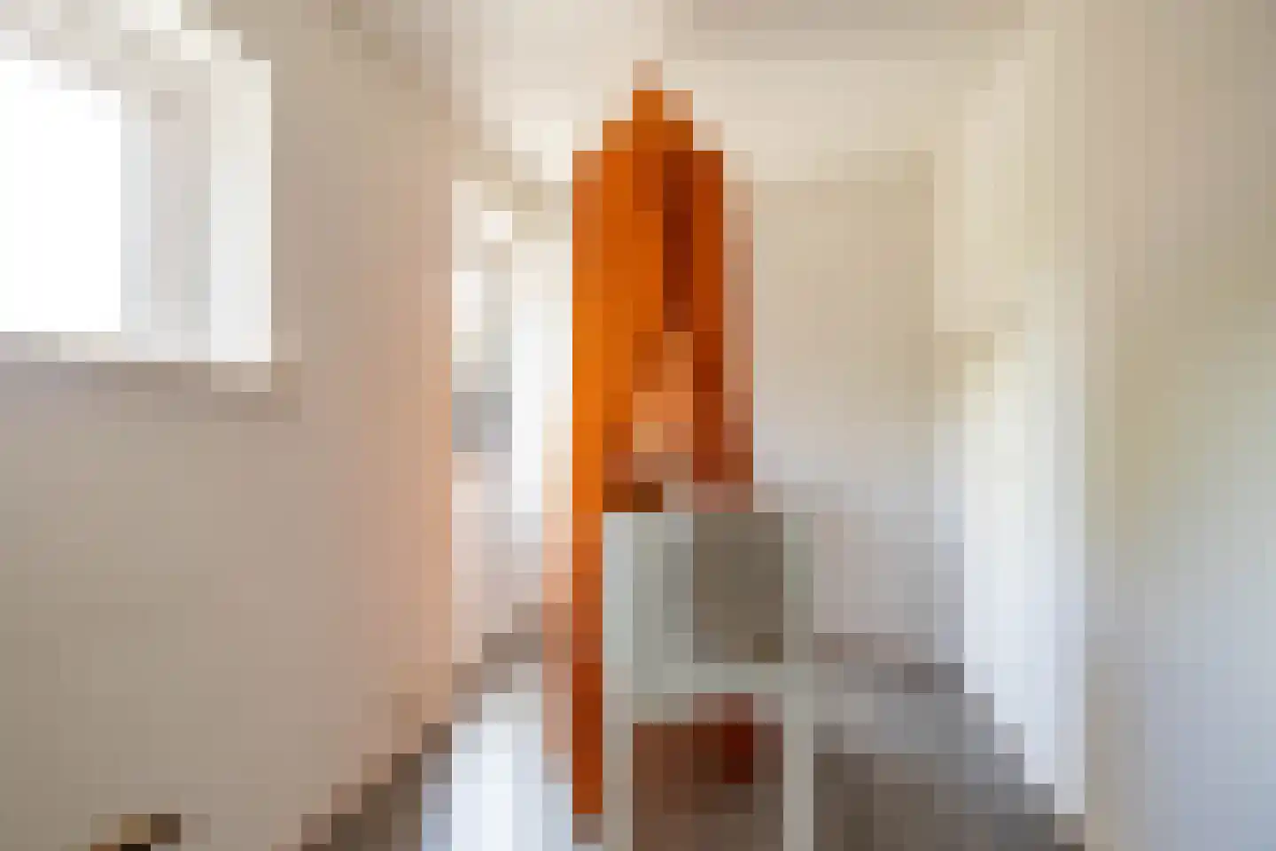 Ebbingekamp 4 Zuidlaren thumbnail 36